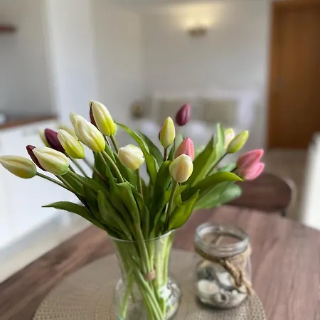 Apartament Katara Brela