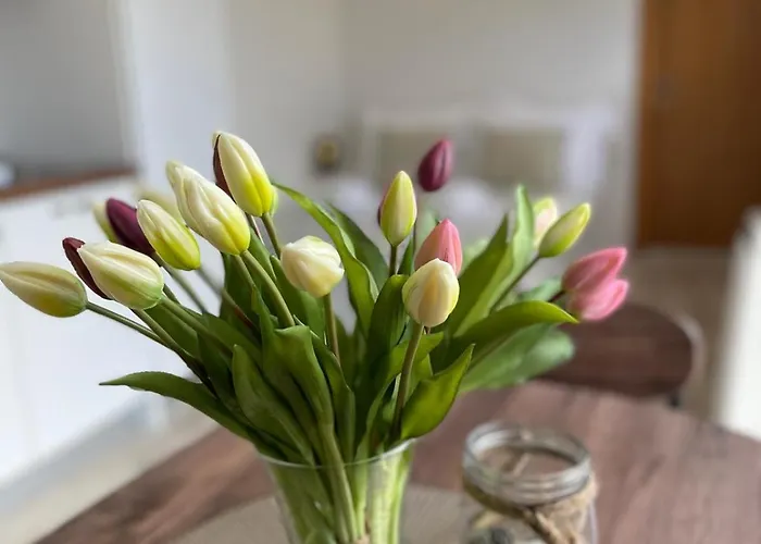 Apartman Katara Brela